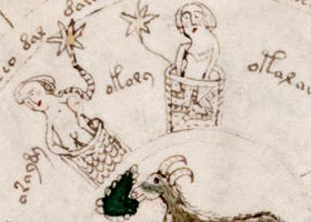 Aperçu de la page 70 du manuscrit de Voynich