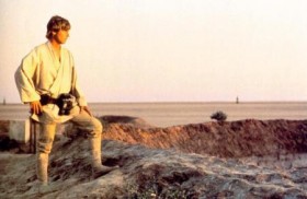 Luc Skywalker scrute-t-il un paysage des Yvelines ?