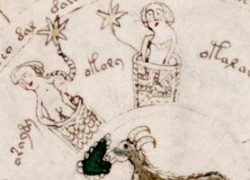 Le manuscrit de Voynich : un livre écrit dans une langue inconnue